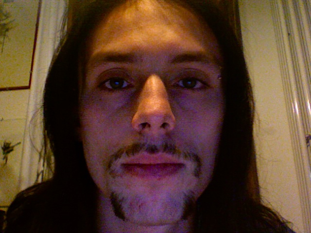 bronson evolution bronson evolution